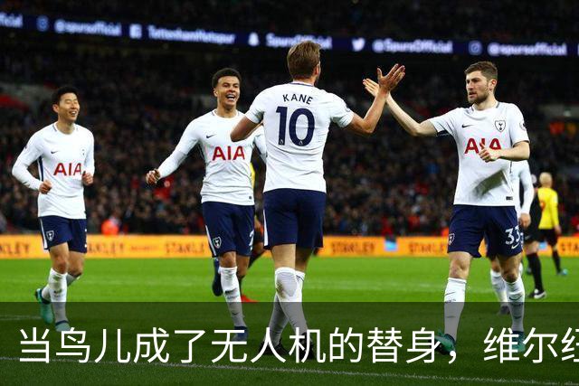 当鸟儿成了无人机的替身，维尔纽斯机场上演喜剧